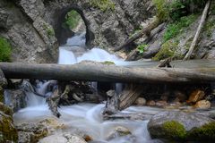 Fenster der Natur