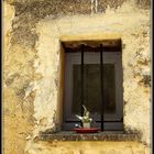 Fenster der Provence 2