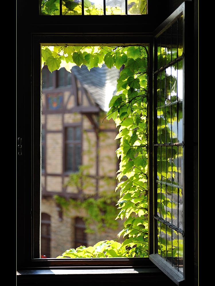 Fenster der Reichsburg Cochen ....