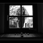Fenster der Stille