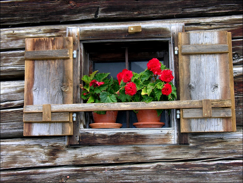 Fenster, die Seele eines Hauses