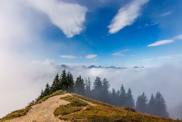 fenster durch den nebel