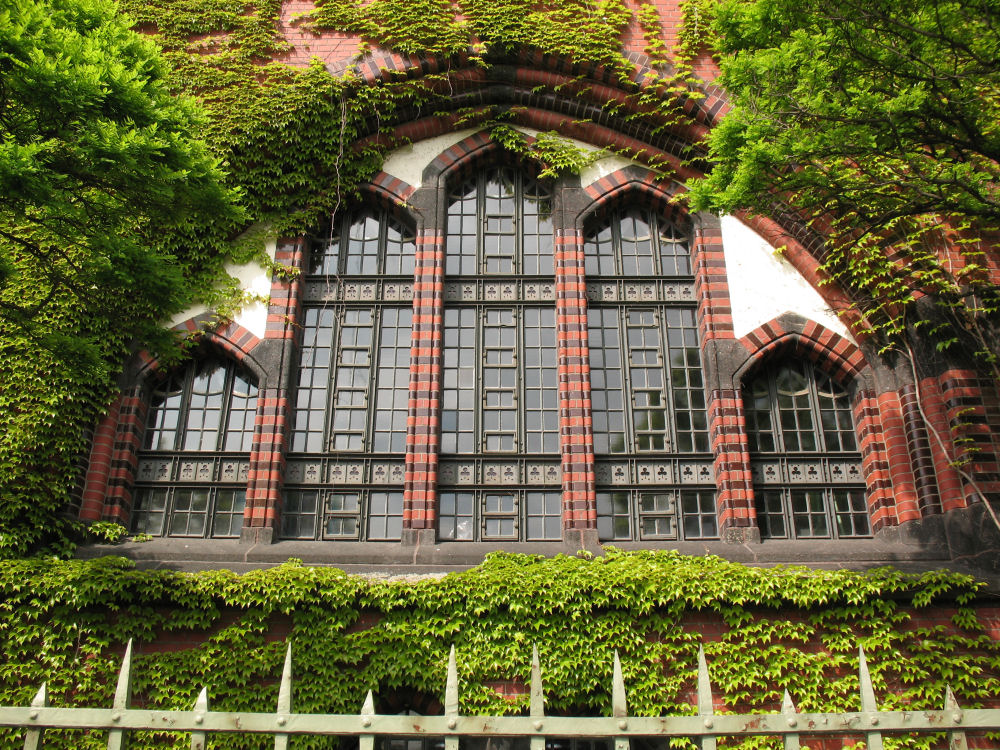 Fenster eines denkmalgeschützten Industriegebäudes