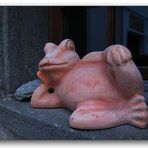 Fenster-Frosch