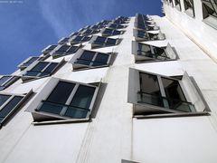 Fenster - Gehry-Bauten