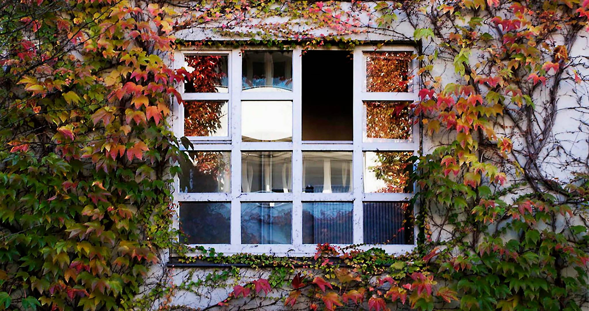 Fenster / Herbst