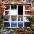 Fenster / Herbst