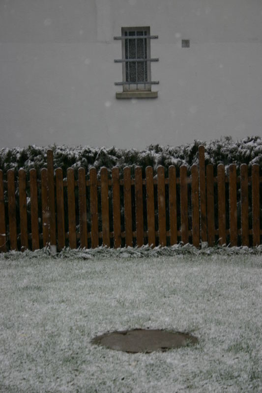 fenster hinter dem garten