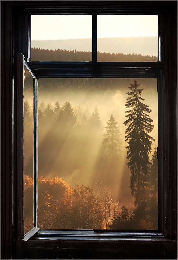 Fenster III * 