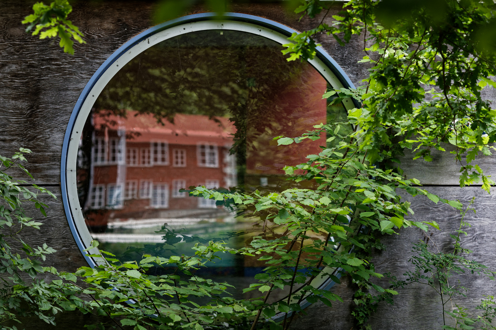 Fenster im Fenster