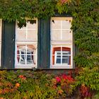 Fenster im Fenster