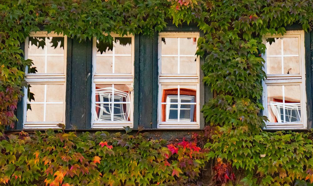 Fenster im Fenster