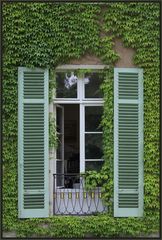 Fenster im Grünen