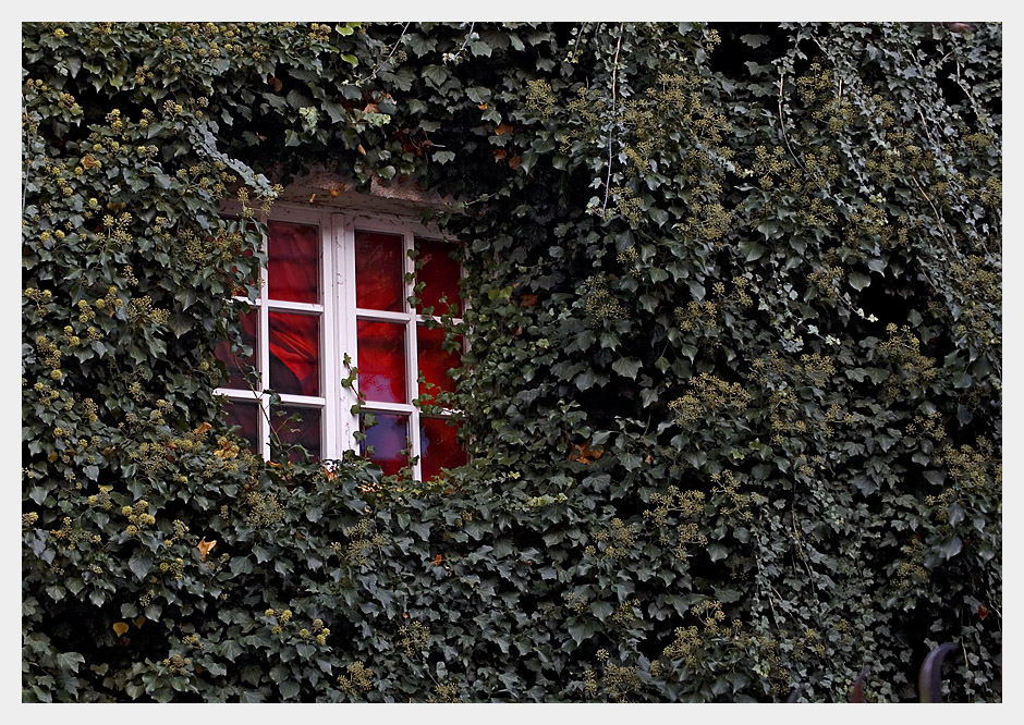 Fenster im Grünen