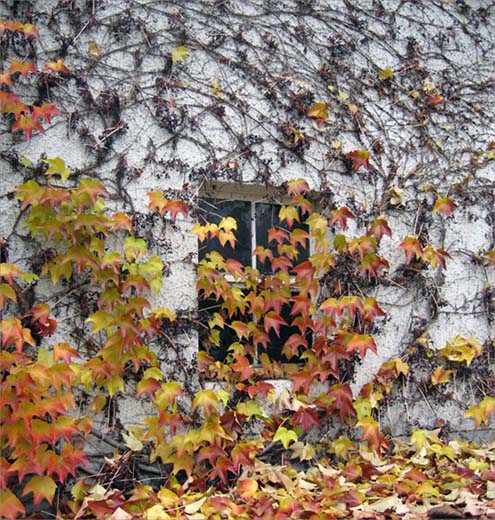 Fenster im Herbst