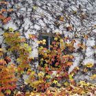 Fenster im Herbst