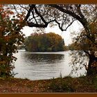 Fenster im Herbst