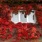 Fenster im Herbst