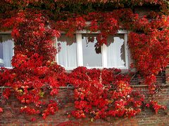 Fenster im Herbst