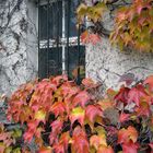 Fenster im Herbst II