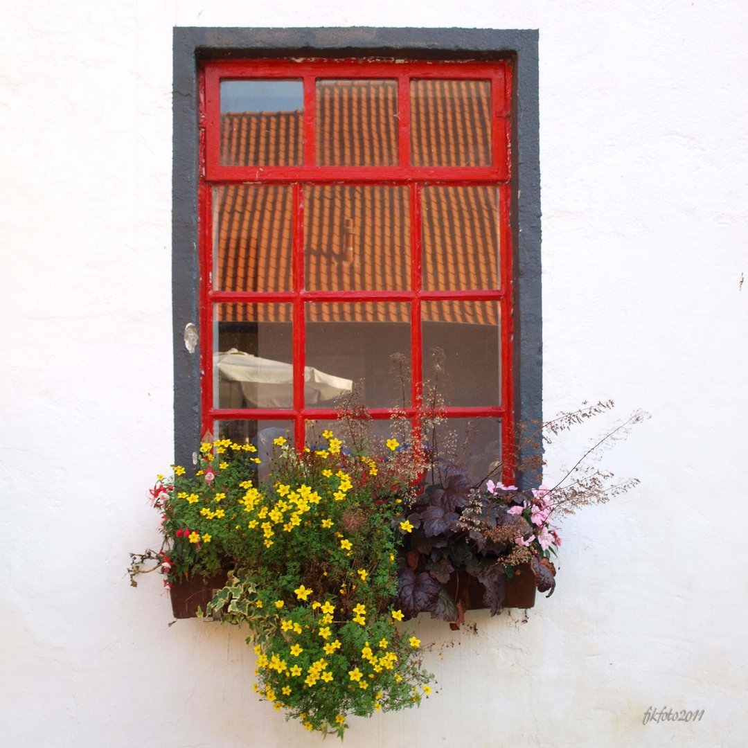 Fenster im Hof