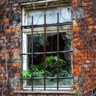 Fenster im Lokschuppen