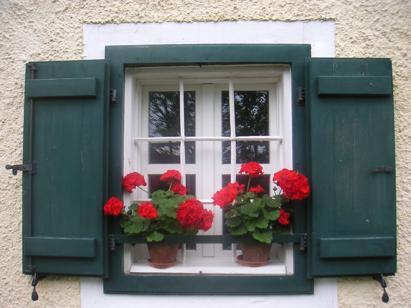 Fenster im österreichischen Alpenvorland Tennengau