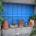 Fenster im Ortsteil 'Le Mustoir' bei Carnac in der Bretagne