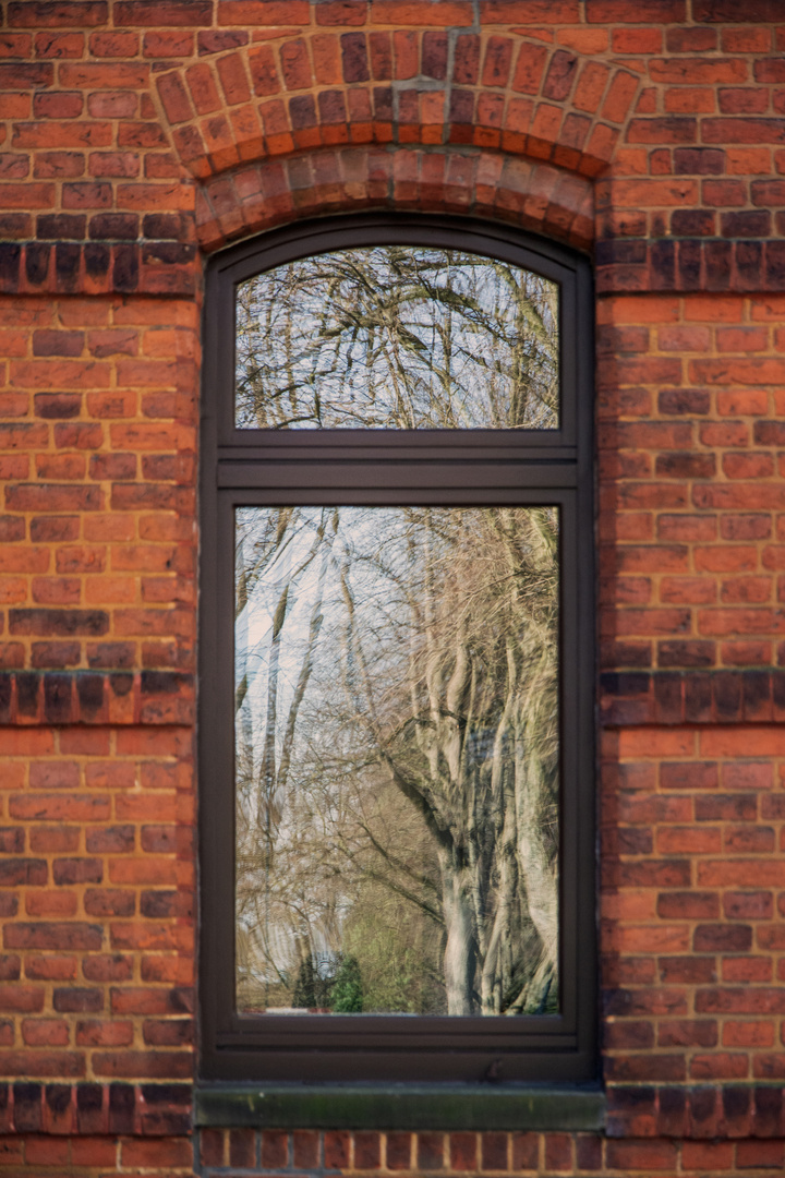 Fenster im Park