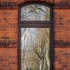 Fenster im Park