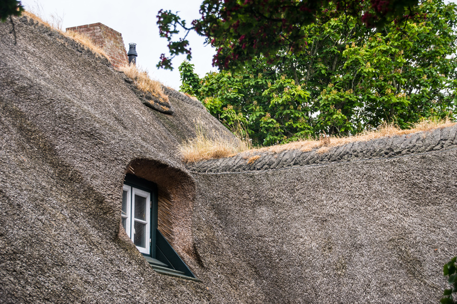 Fenster im Reet