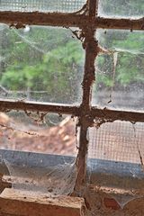 Fenster im Sägewerk