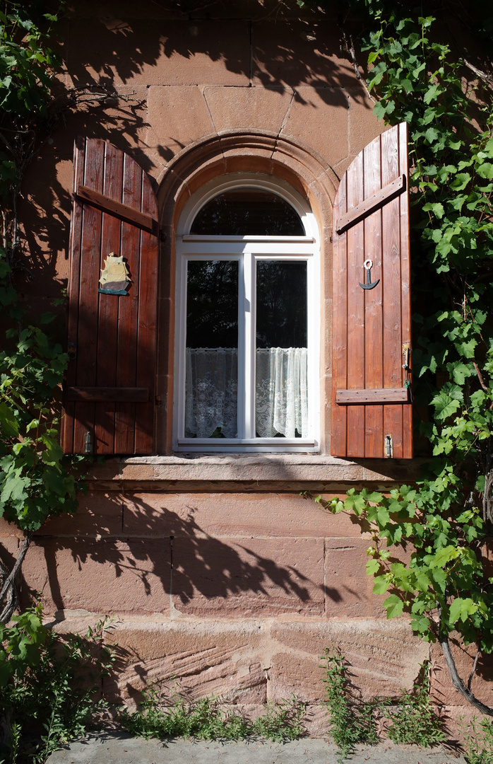 Fenster im Sommer.