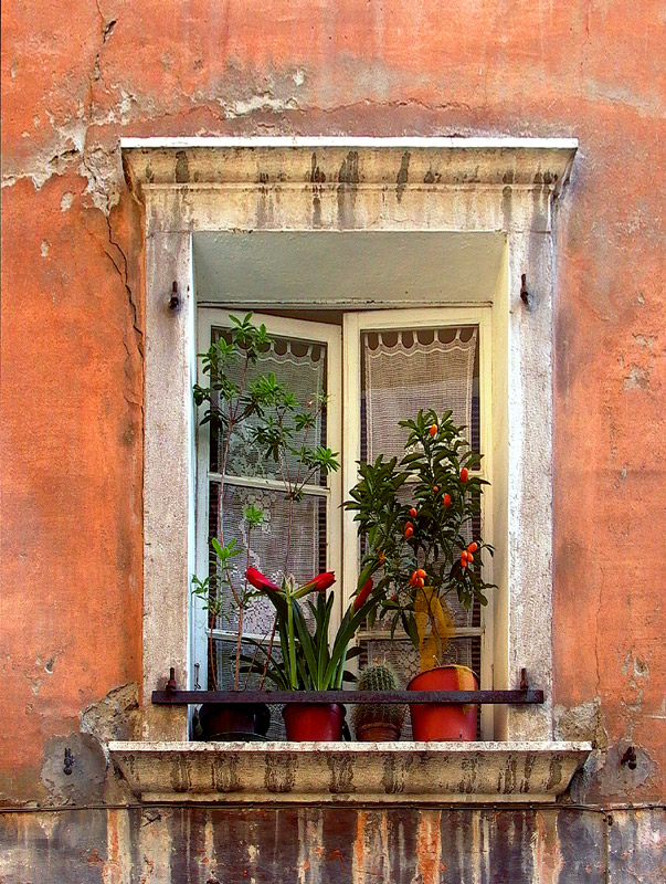Fenster im Trento