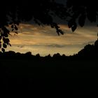 Fenster im Wald