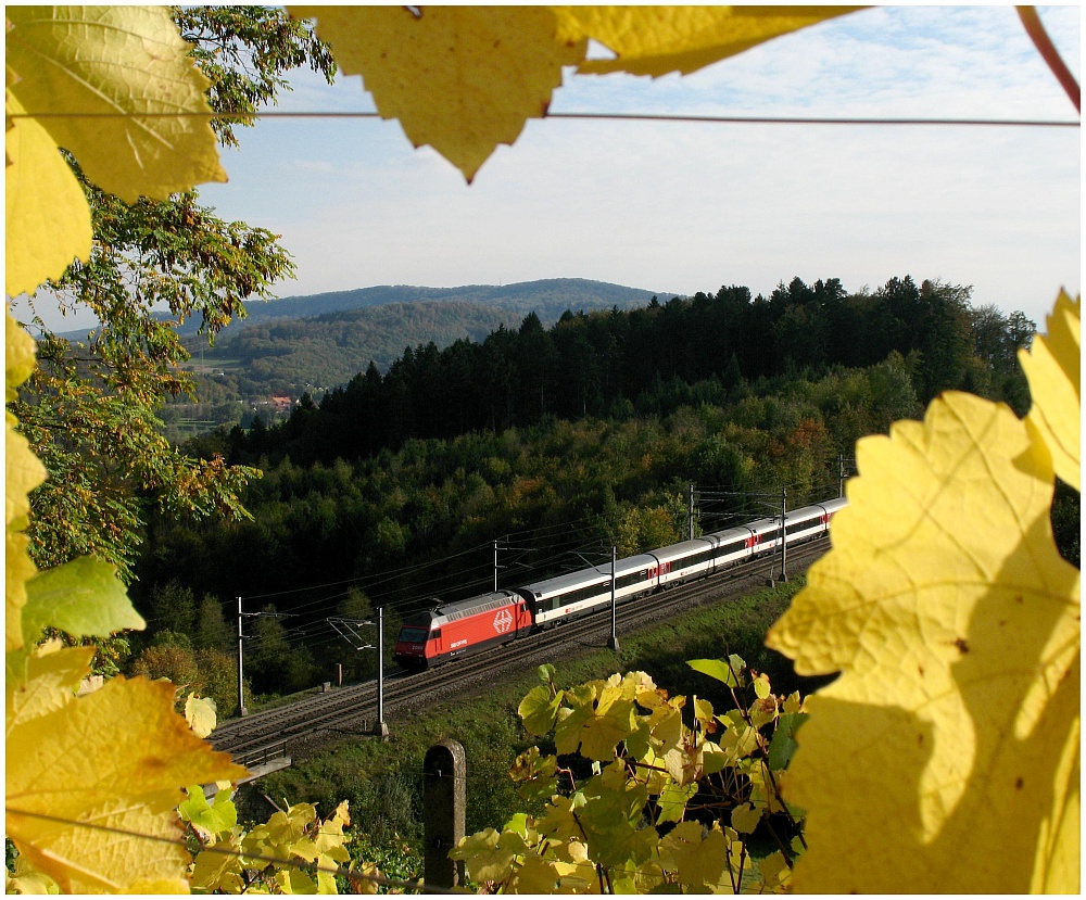 Fenster im Weinberg