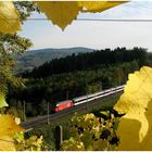 Fenster im Weinberg