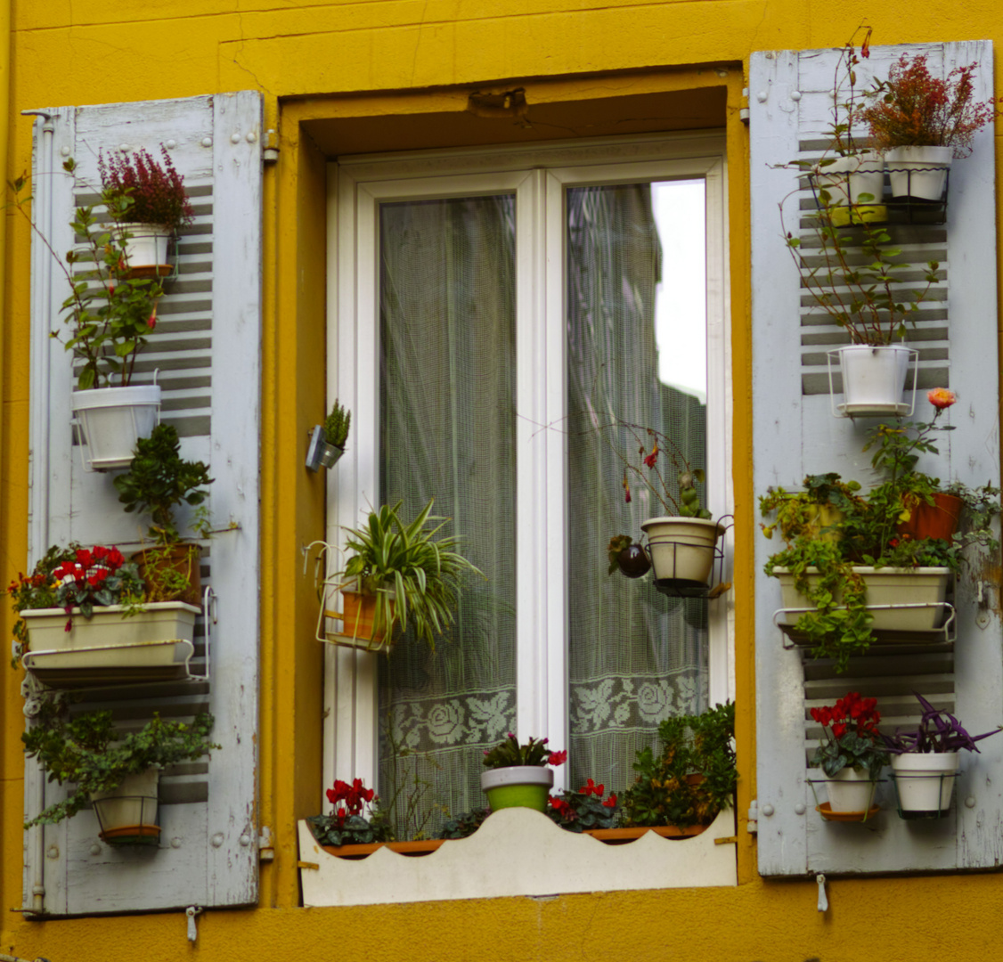 Fenster in Aix-en-Provence