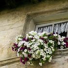 Fenster in Arles