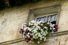 Fenster in Arles