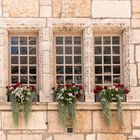 Fenster in Beaune