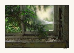 Fenster in Beelitz