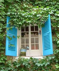 Fenster in Calvi