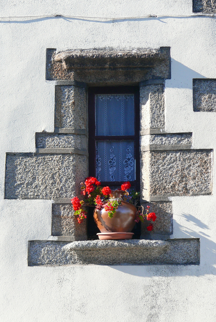 Fenster in Concarneau (Bretagne)