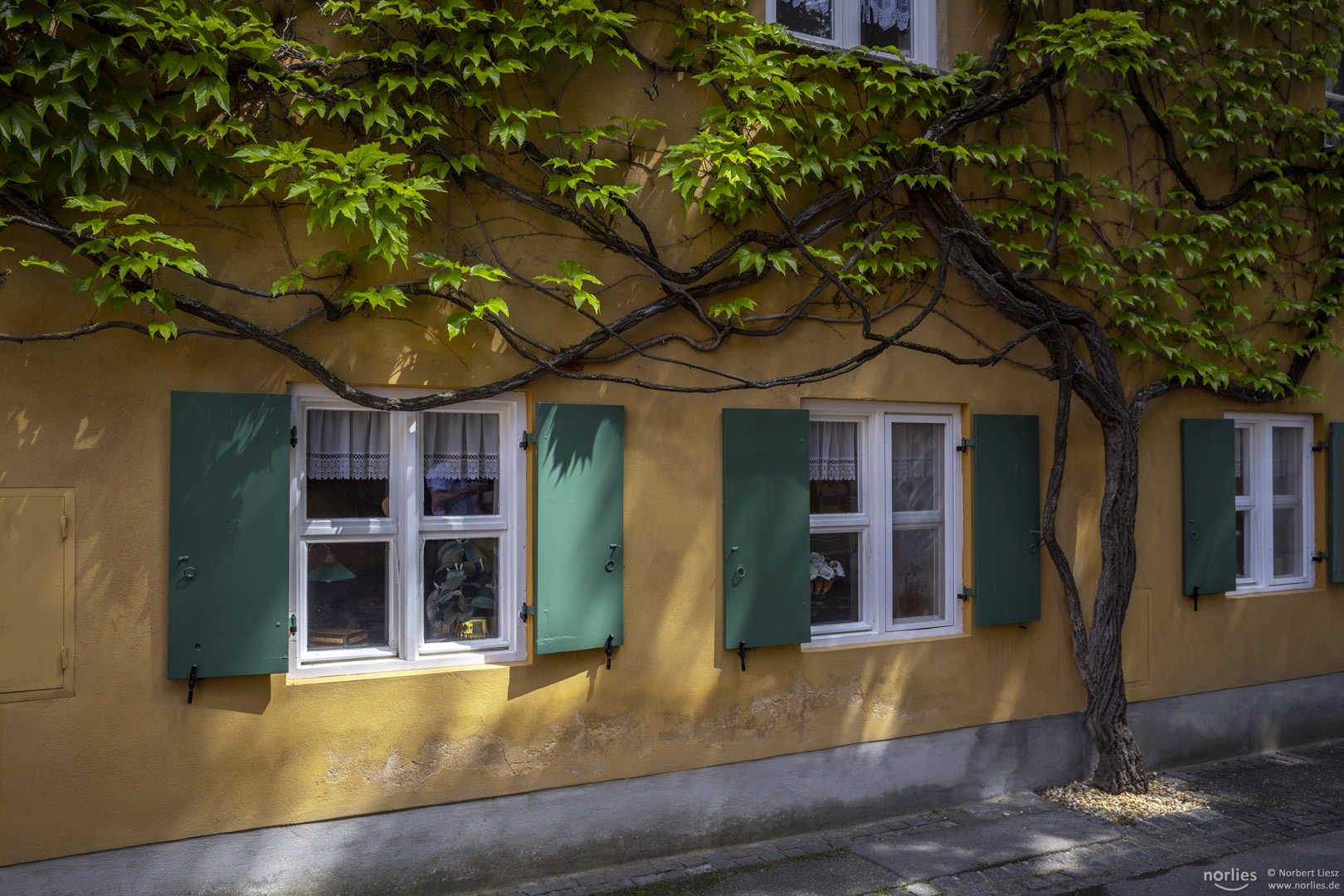 Fenster in der Fuggerei