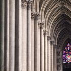 Fenster in der Kathedrale von Reims