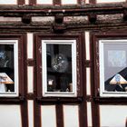 Fenster in der Limburger Altstadt