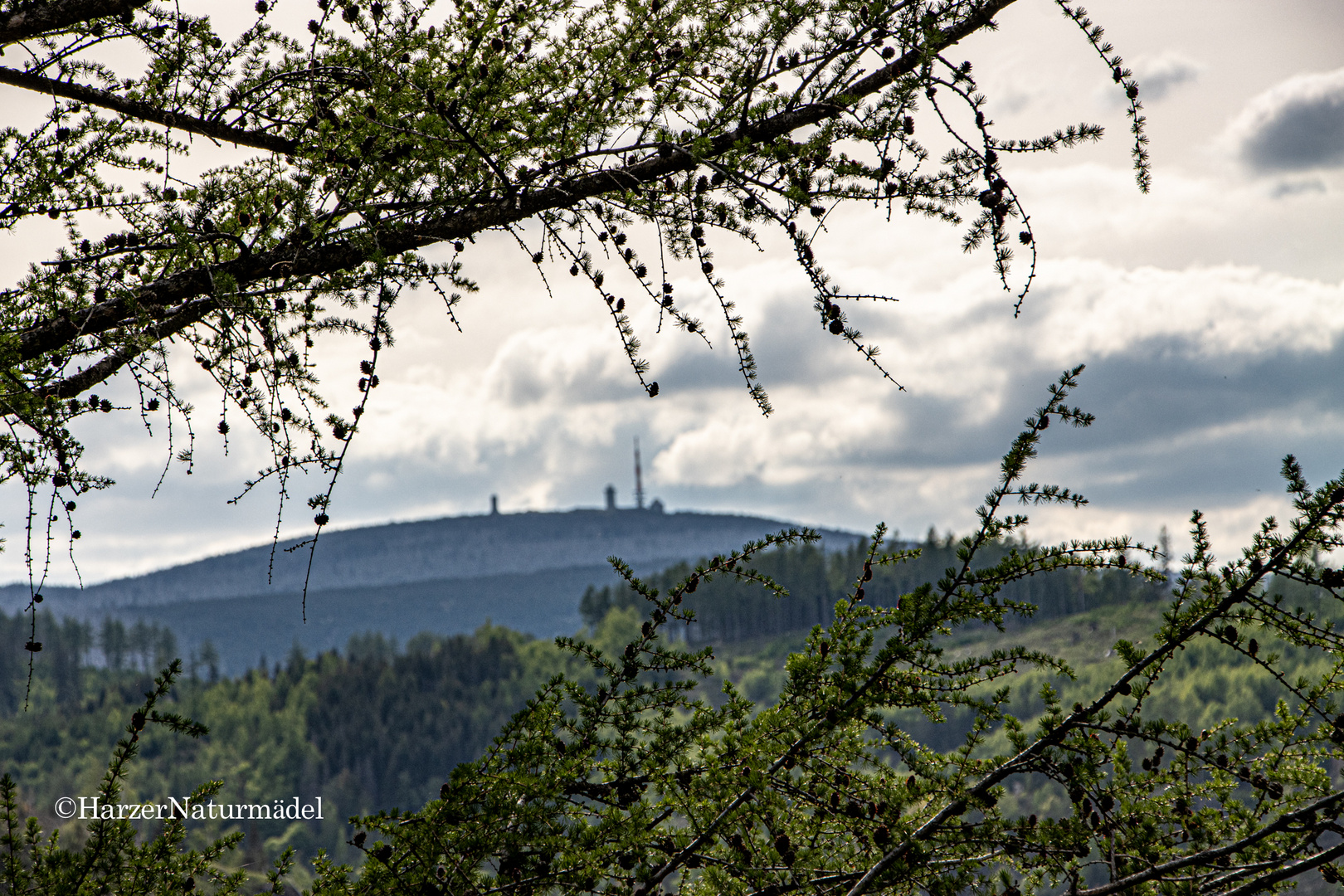 Fenster in der Natur