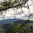 Fenster in der Natur