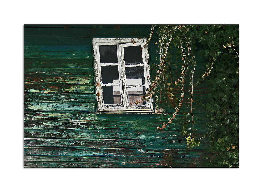 Fenster in der Ortenau I